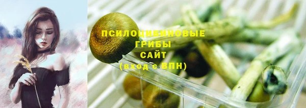 дурь Кукмор