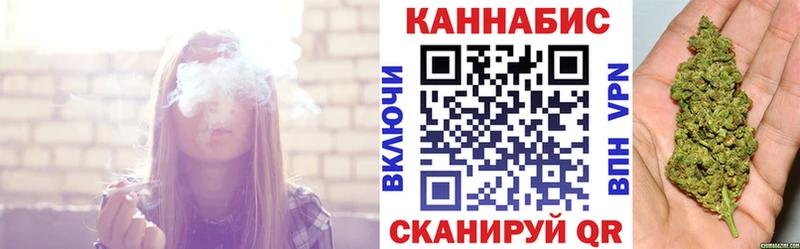 Купить где Камешково Шишки марихуана SATIVA & INDICA